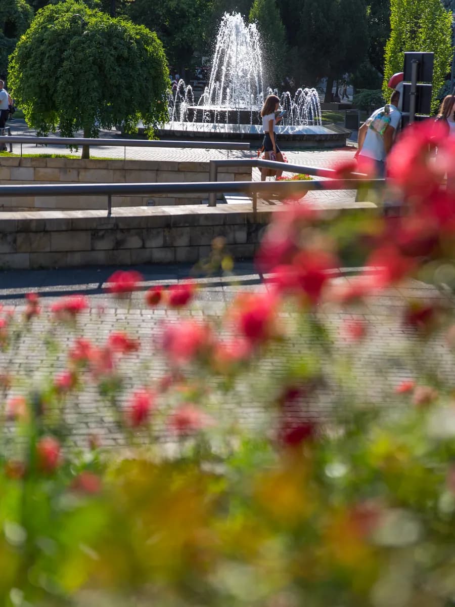 Fontana i cvetne leje u centralnom parku Vrnjačke Banje