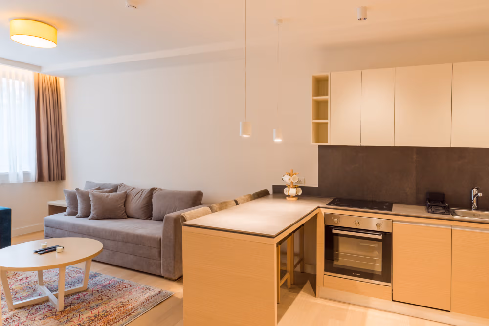 Deluxe One Bedroom Apartment