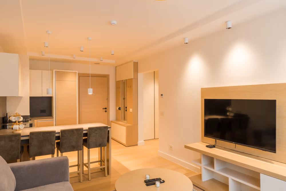 Deluxe One Bedroom Apartment