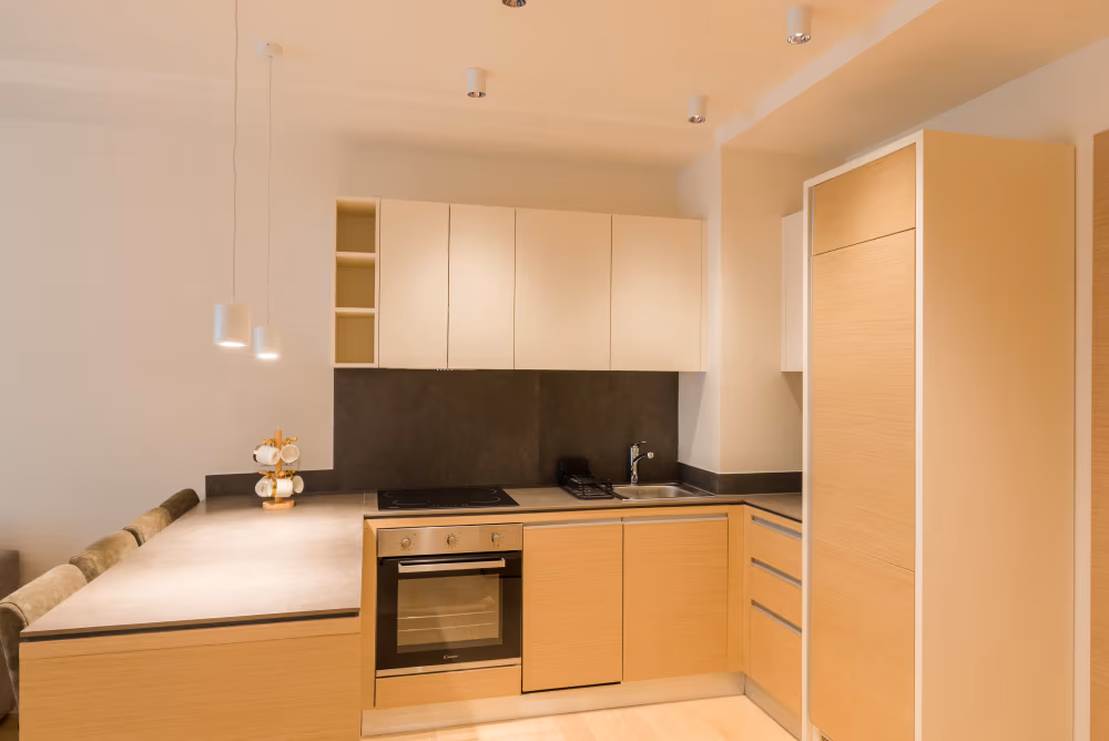 Deluxe One Bedroom Apartment