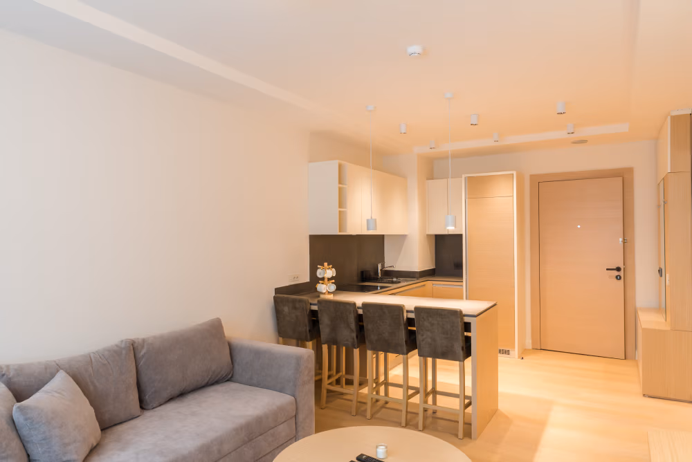 Deluxe One Bedroom Apartment