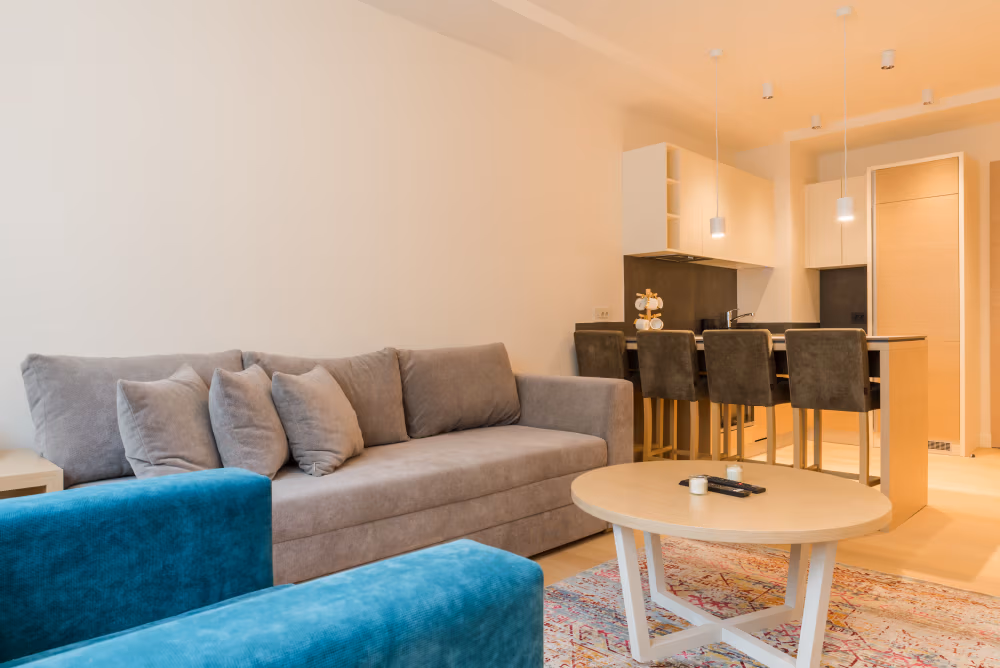 Deluxe One Bedroom Apartment