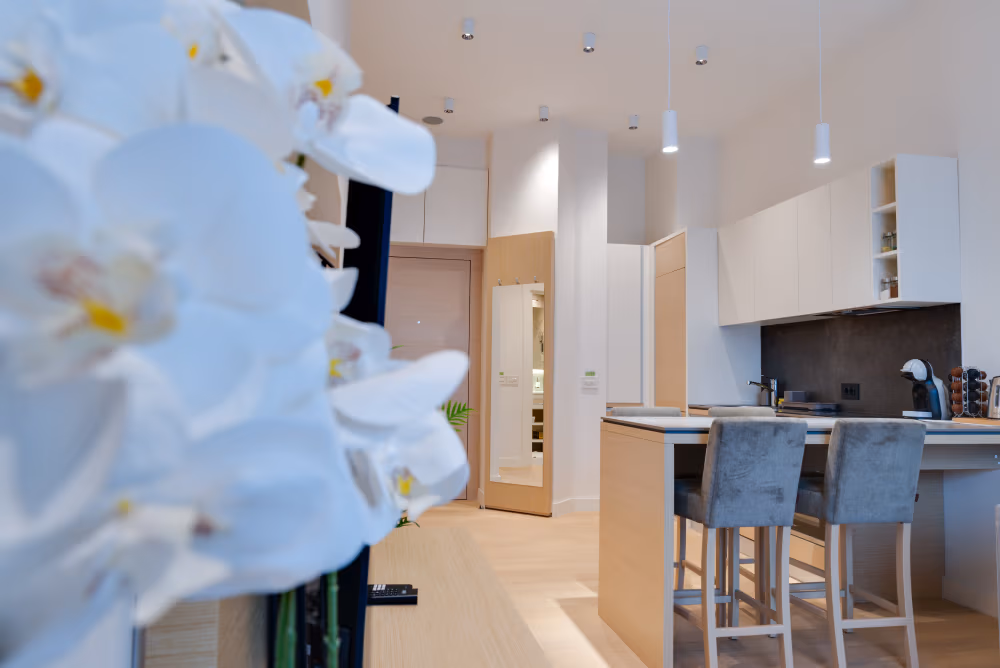 Deluxe one Bedroom Apartment with Terrace