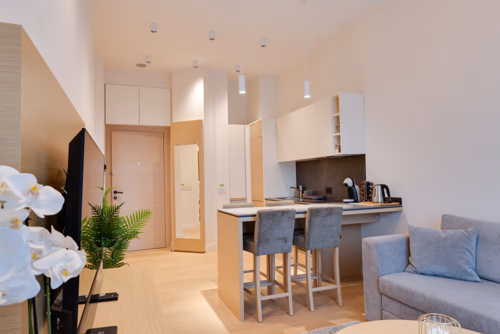 Deluxe one Bedroom Apartment with Terrace