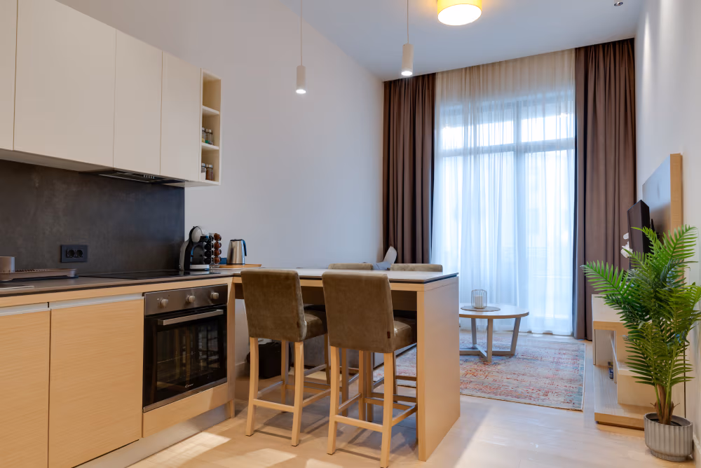 Deluxe one Bedroom Apartment with Terrace