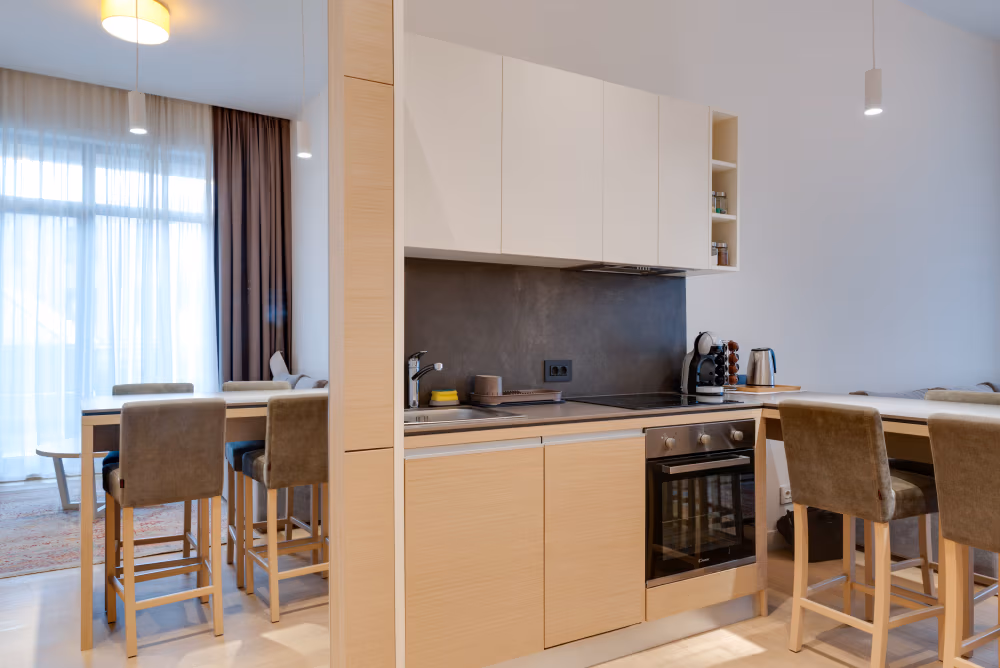 Deluxe one Bedroom Apartment with Terrace