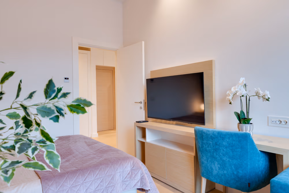 Deluxe one Bedroom Apartment with Terrace