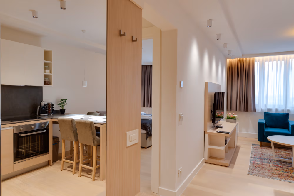 Deluxe One Bedroom Apartment with City View