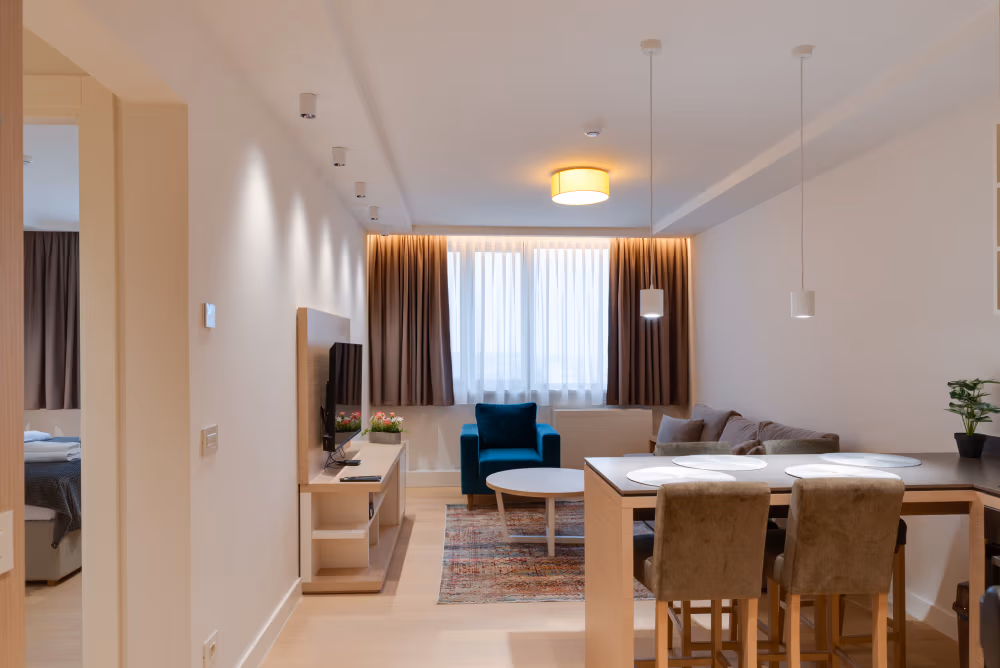 Deluxe One Bedroom Apartment with City View