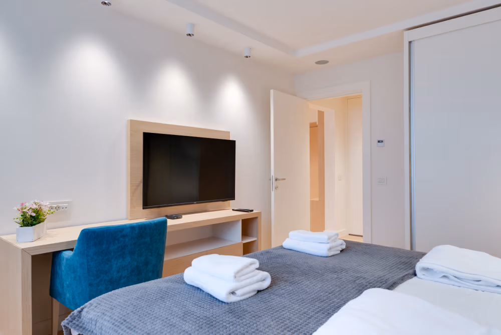 Deluxe One Bedroom Apartment with City View