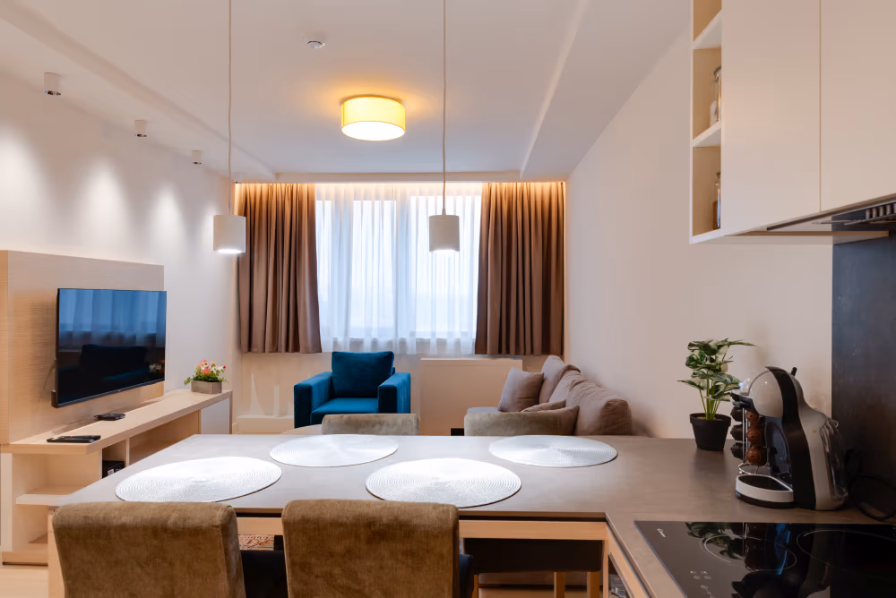 Deluxe One Bedroom Apartment with City View