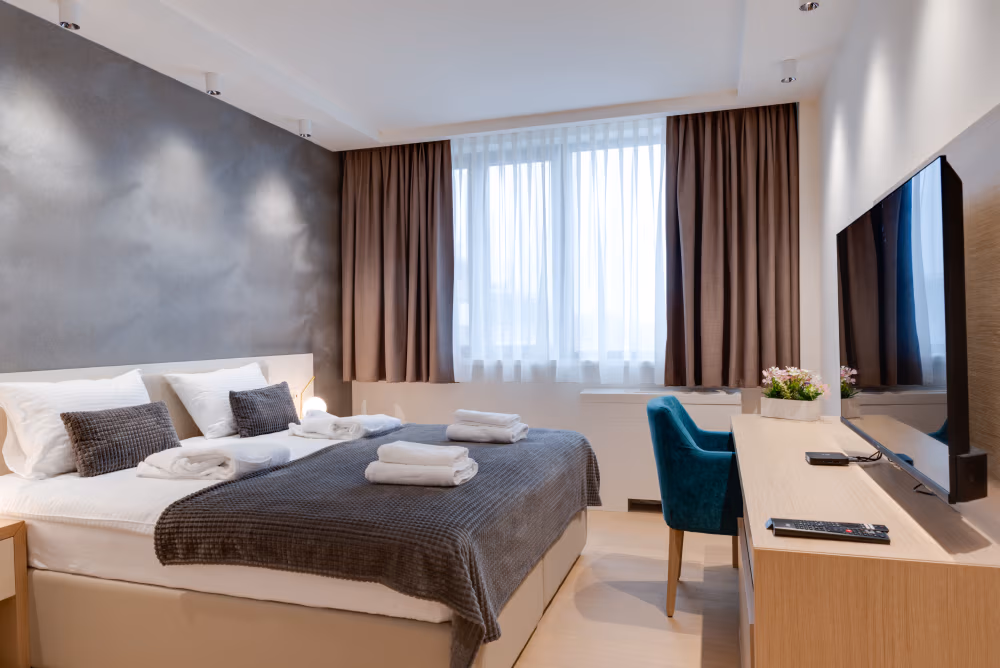 Deluxe One Bedroom Apartment with City View