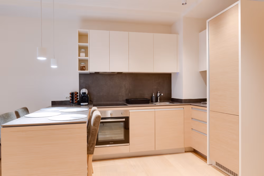 Deluxe One Bedroom Apartment with City View