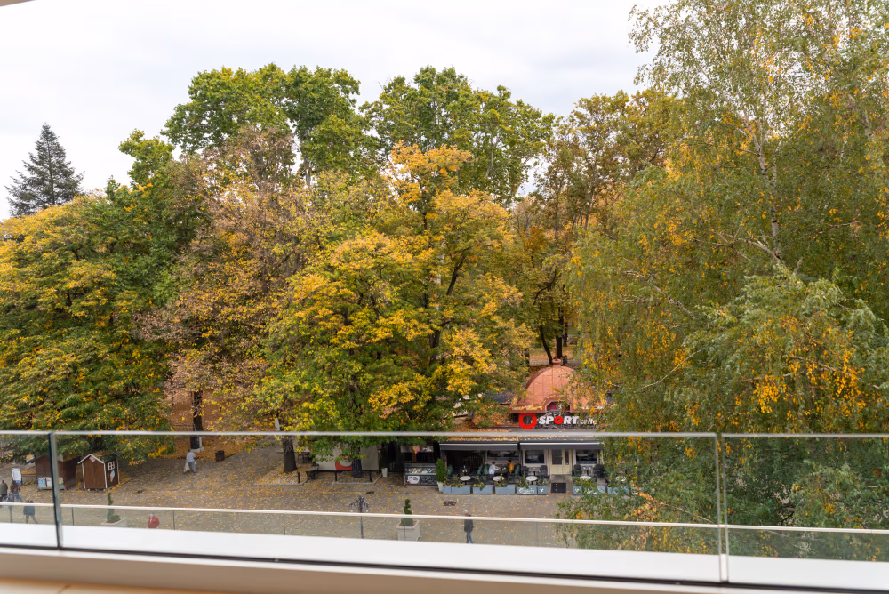 Deluxe Two Bedroom Apartment with Terrace
