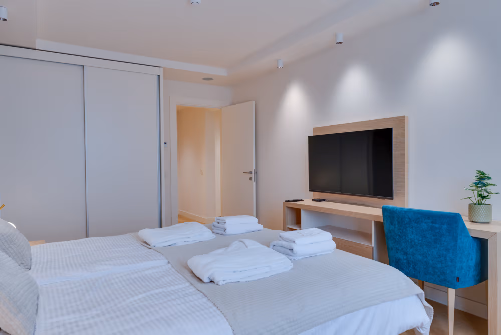 Deluxe Two Bedroom Apartment with Terrace