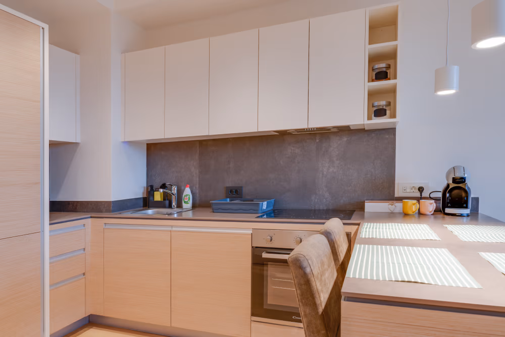 Deluxe Two Bedroom Apartment with Terrace