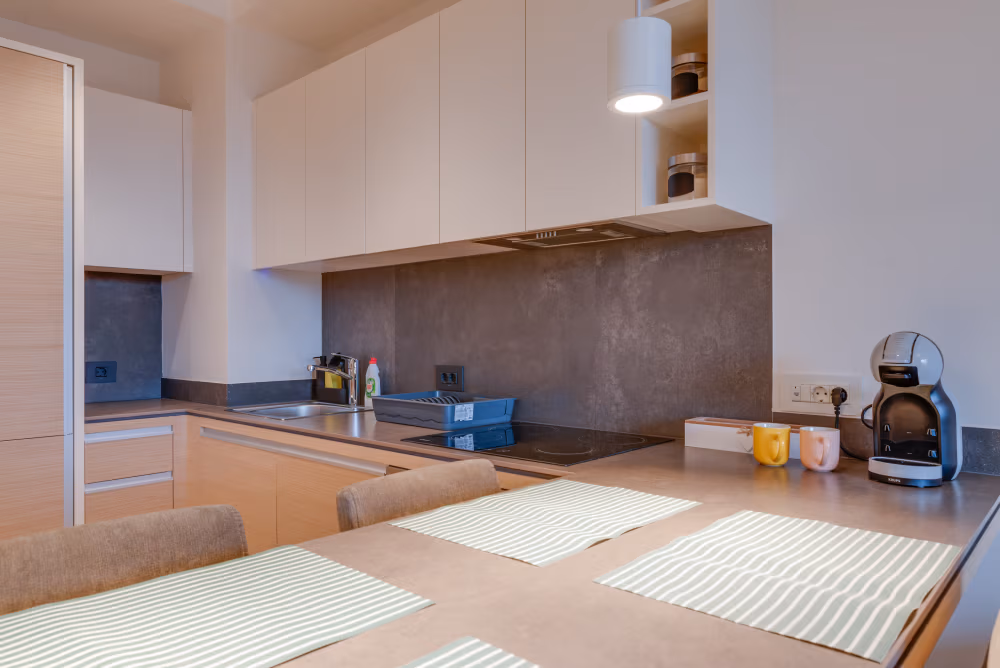 Deluxe Two Bedroom Apartment with Terrace